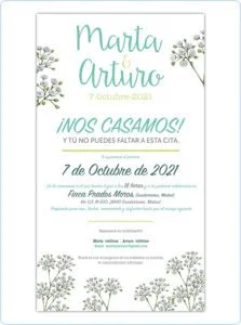 Invitación boda digital flores paniculata