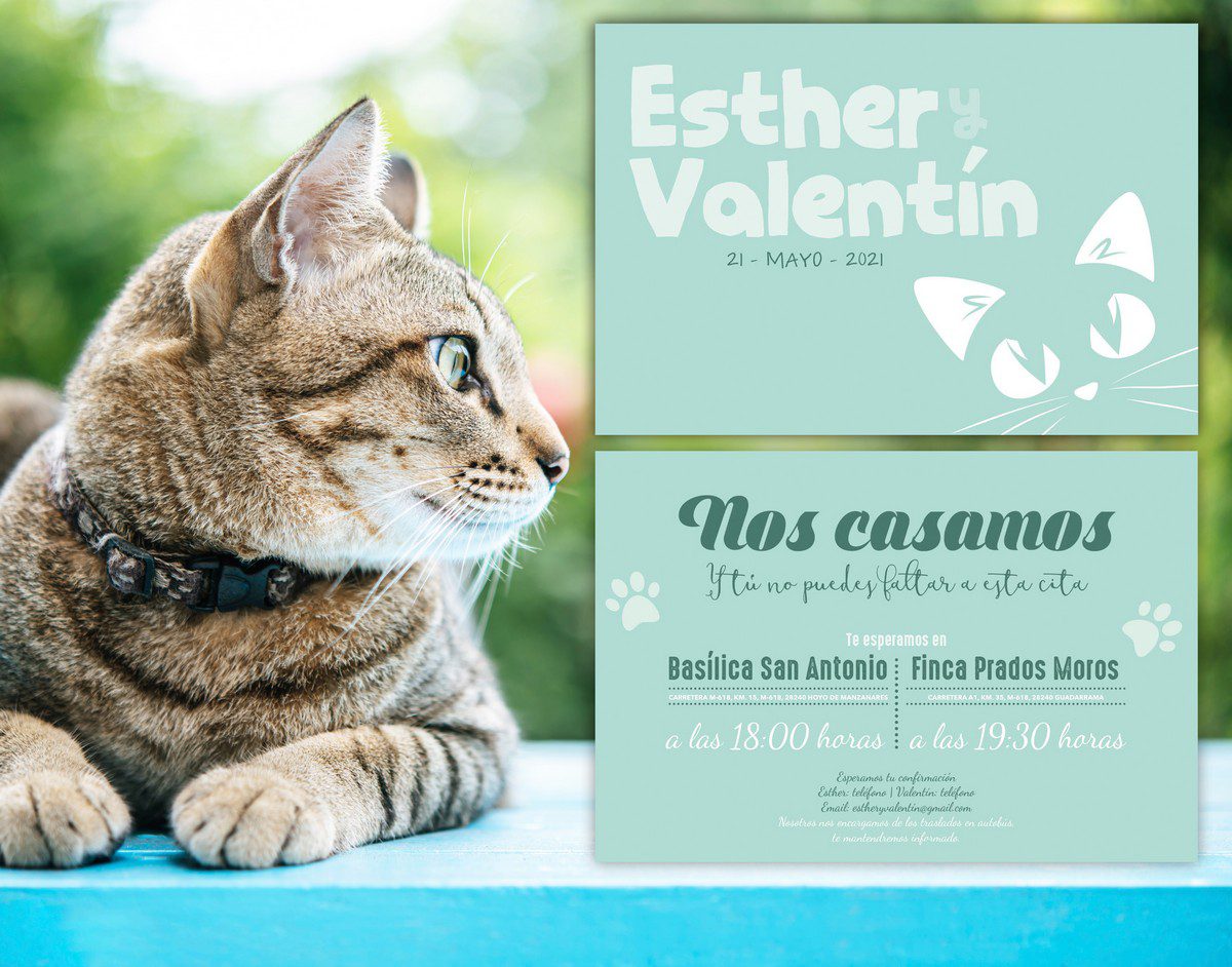 Invitación Boda Gatitos Invitación Boda Gatitos